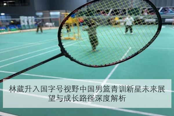 樊振东复出热身赛正手质量回升对抗强度受检验